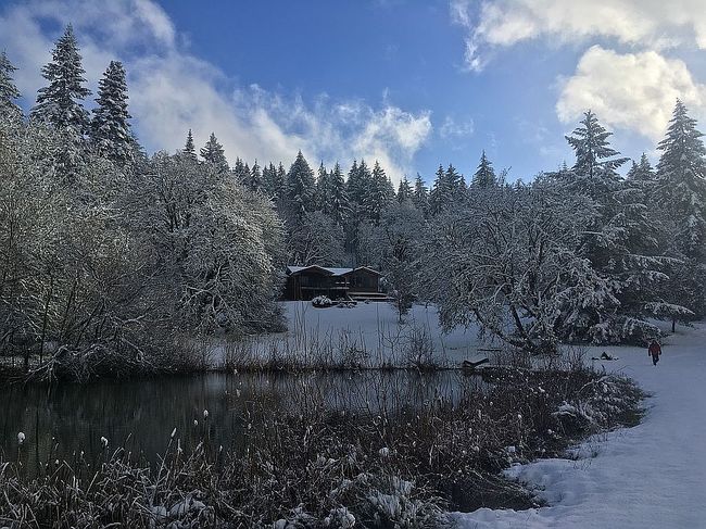 Photo of 37461 Soap Creek Rd