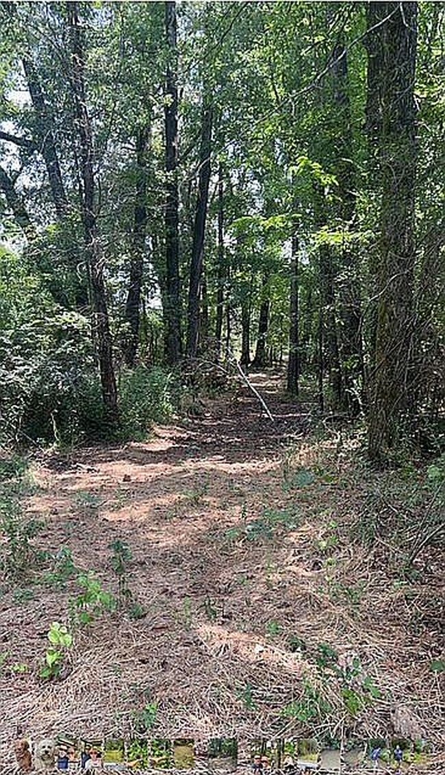 Photo of 4529 Parker Ln, Texarkana, AR
