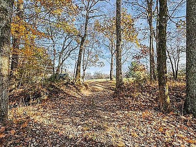 Image of 4516 Long Ln