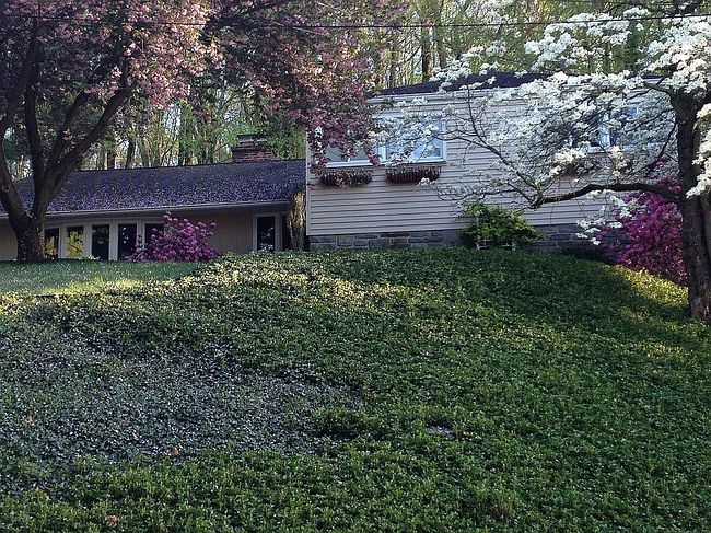 Photo of 492 Howellville Rd, Berwyn, PA