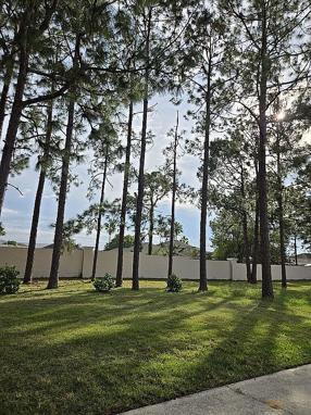 Image of 308 Halstead Dr