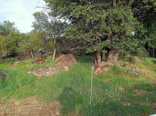 Image of 10167 Del Monte Way
