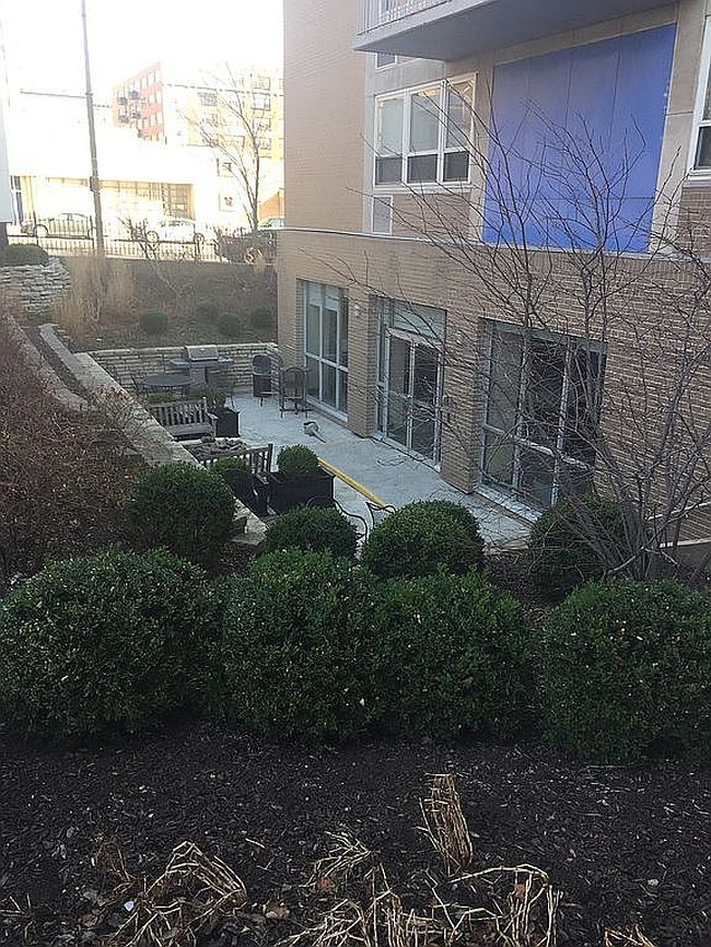 Image of 210 N 17th St Unit 905