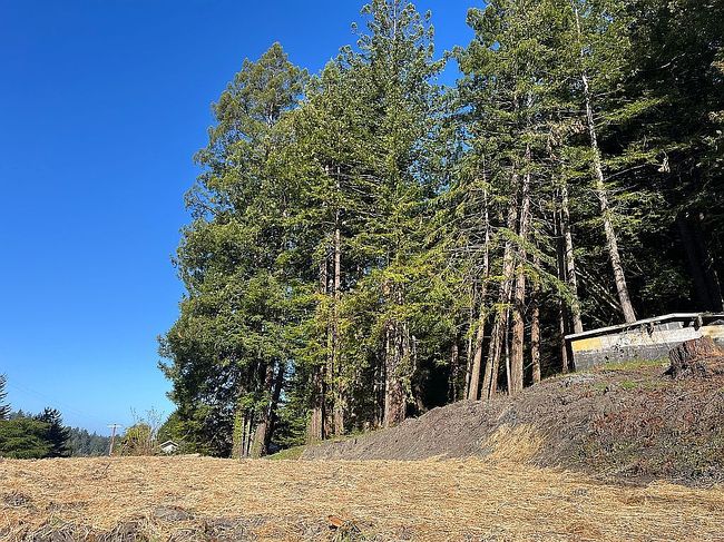 Image of 2213 Plunkett Rd