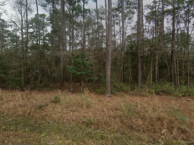 Photo of 73482 Niblick St, Abita Springs, LA