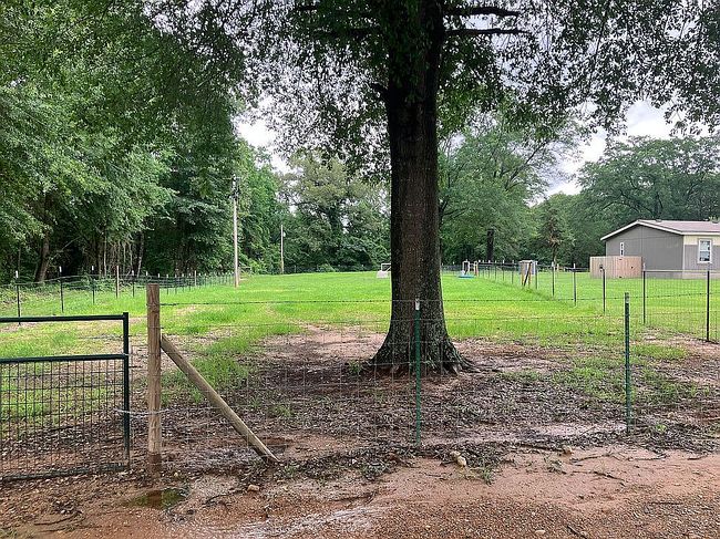 Photo of 433 Lr #736, Ashdown, AR