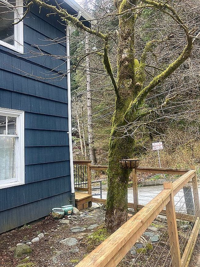 Image of 536 Park St #B