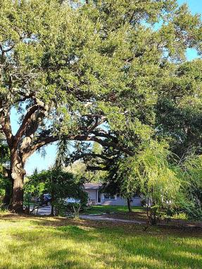 Image of 820 Bayou Ave