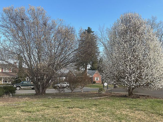 Image of 216 3rd St