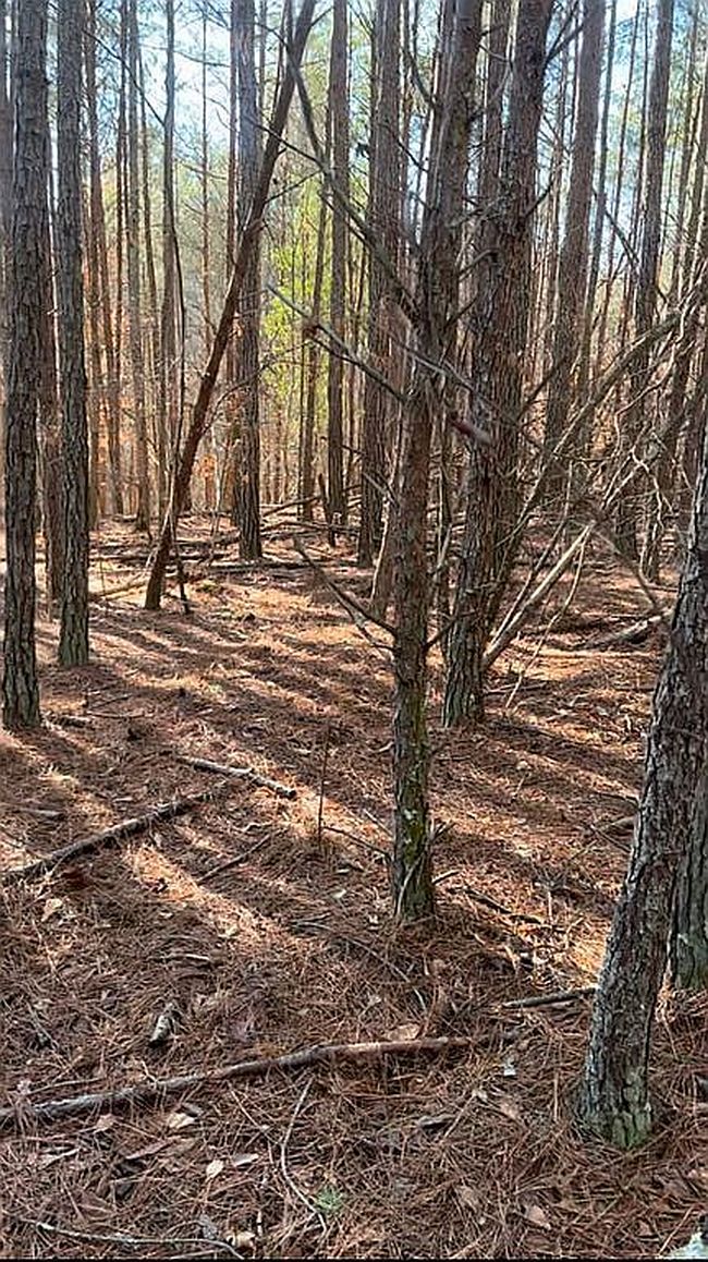 Image of 455 Martin Hills Rd