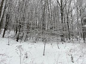 Image of Lot 5 Whispering Heights Section 1