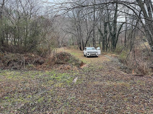 Image of 165 Chestnut Cove Rd
