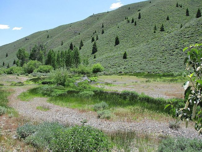 Photo of 300 Red Elephant Gulch Rd, Hailey, ID