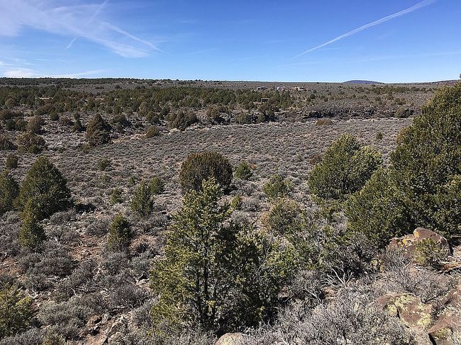 Photo of 59 Fasthorse Rd, Carson, NM