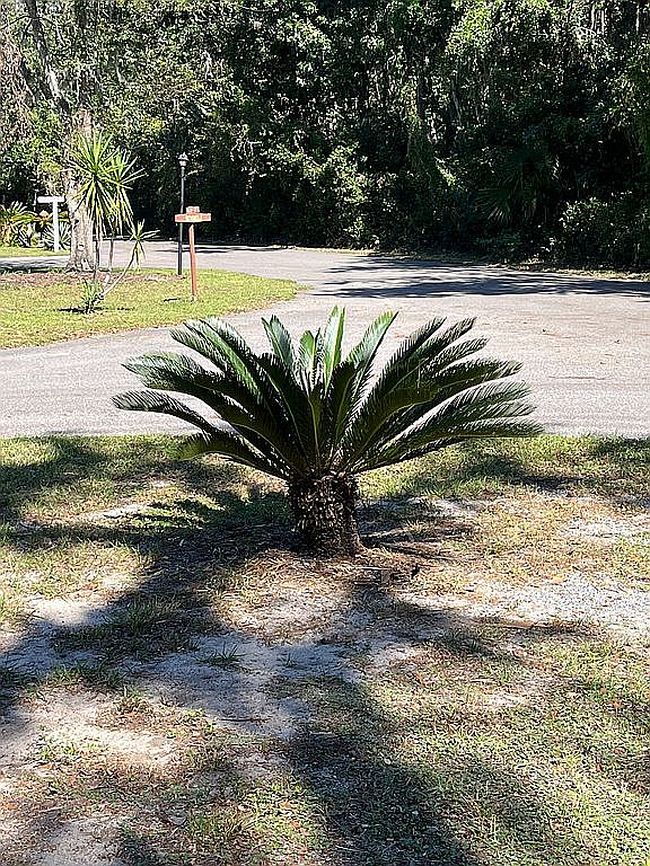Image of 28229 County Road 33 Lot E59