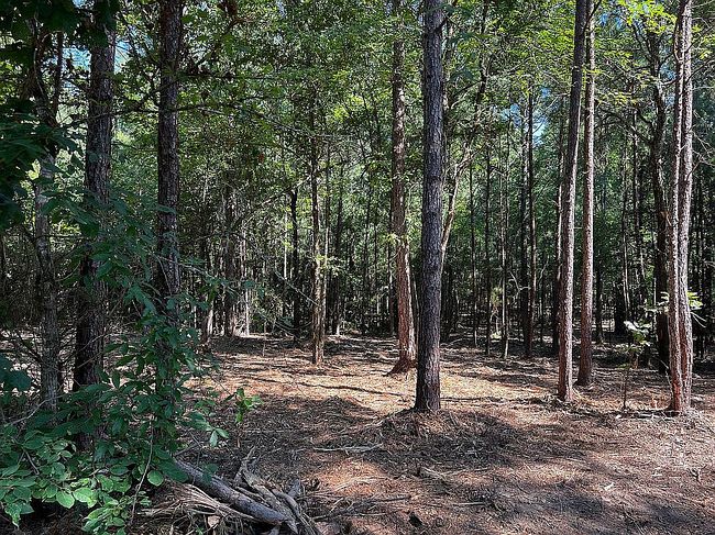 Image of La Darr Rd