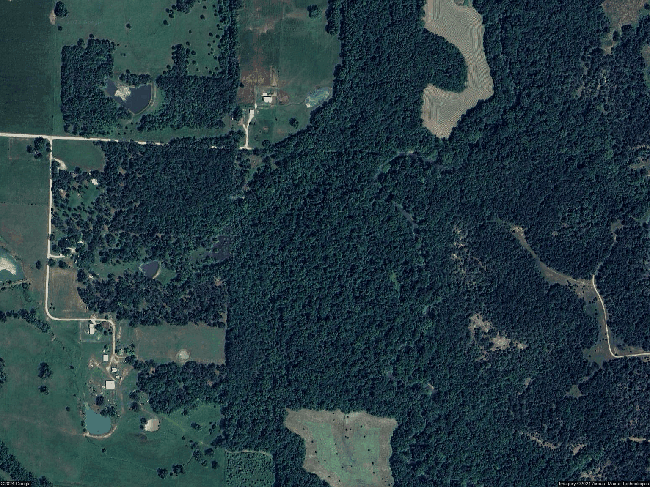 Preview of property located at 13118 E Tyree Rd