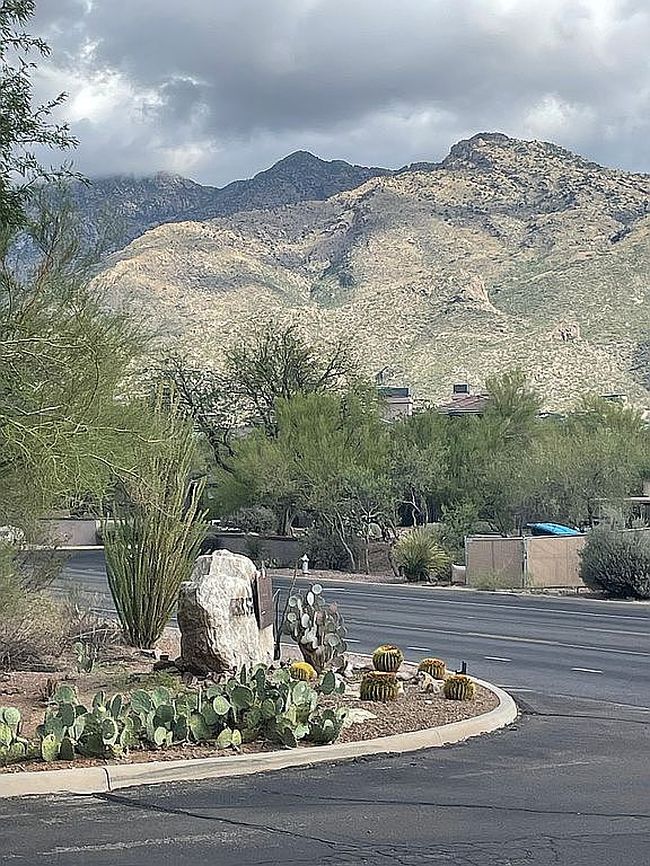 5855 N Kolb Rd Unit 6106, Tucson, AZ