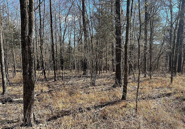 Image of 246 Highway 463