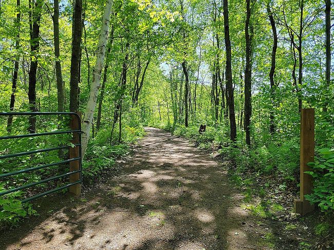 Image of 20894 Swayback Ranch Trl
