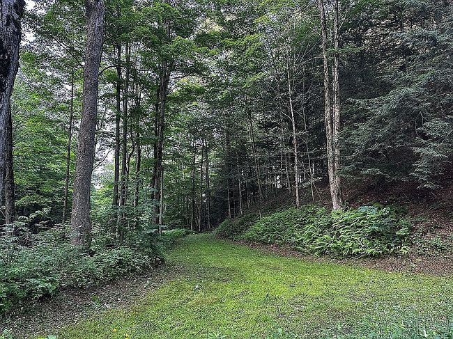 Photo of 1955 Ruttenbur Rd, Cherry Creek, NY