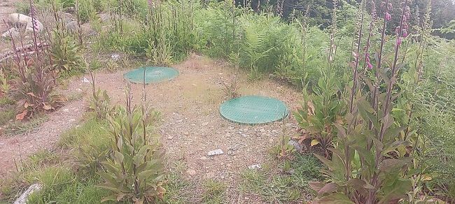 Additional photo 3 of property located at 931 N Colony Surf Dr