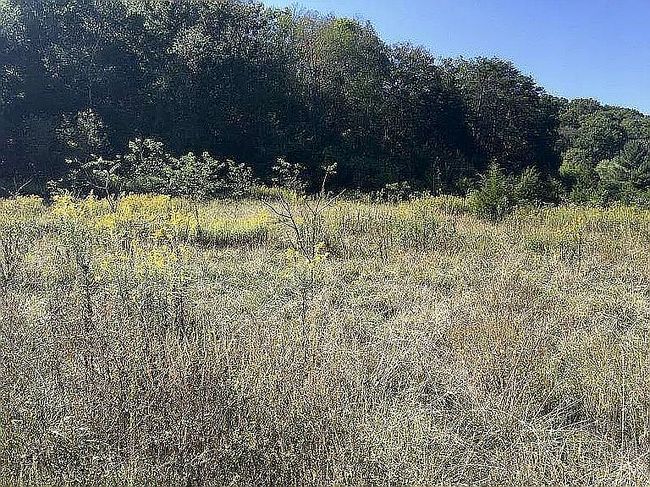 Image of 2373 Rocky Springs Rd