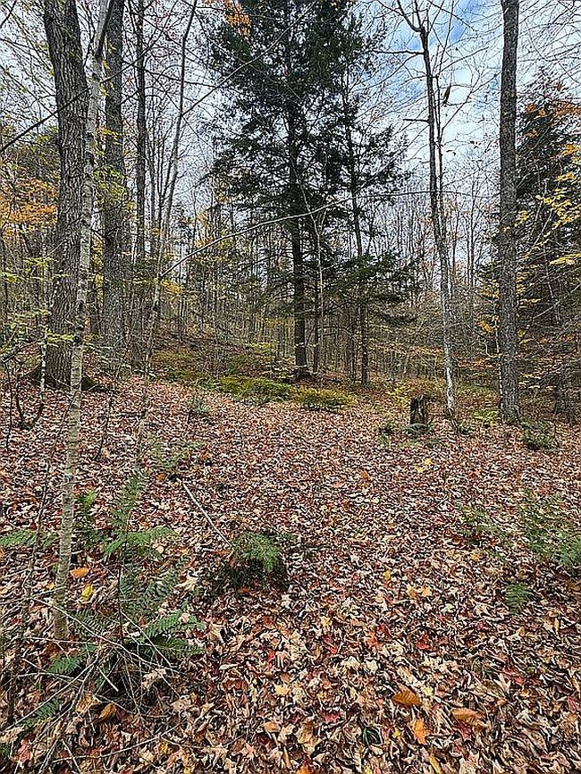 Photo of 233 Brook Rd, Chelsea, VT