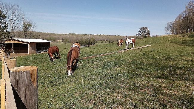 Photo of 36711 County Road 364B, Salem, MO
