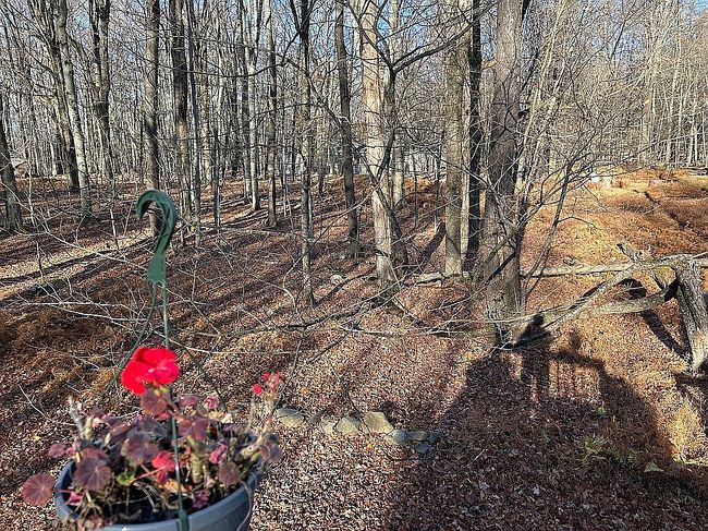 Image of 142 View Dr
