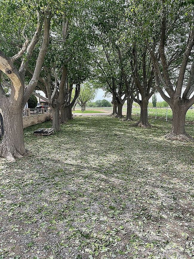 Photo of 7770 Westside Rd, Anthony, TX
