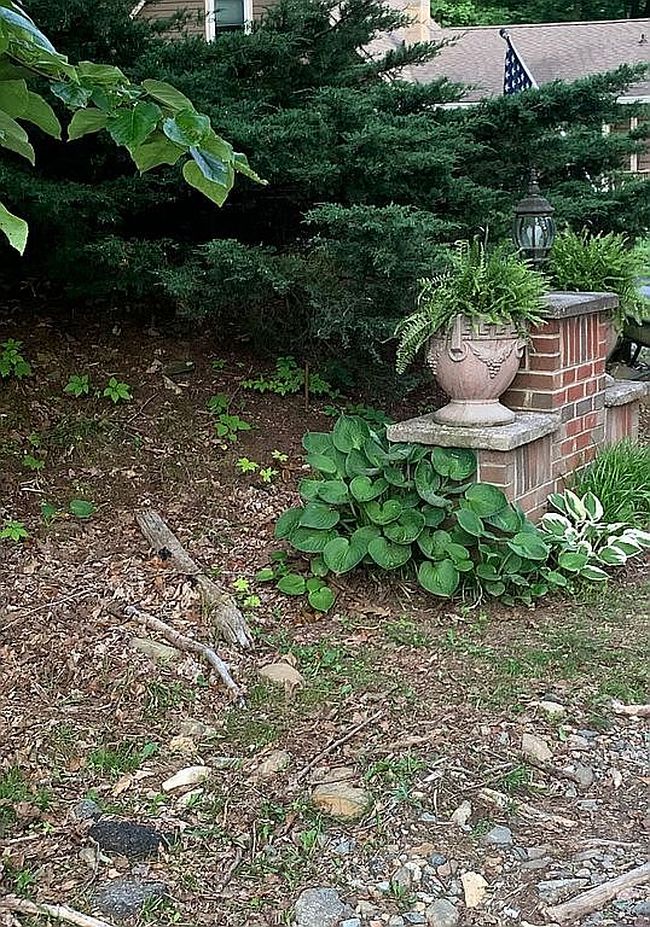 Image of 429 Harley Perry Rd