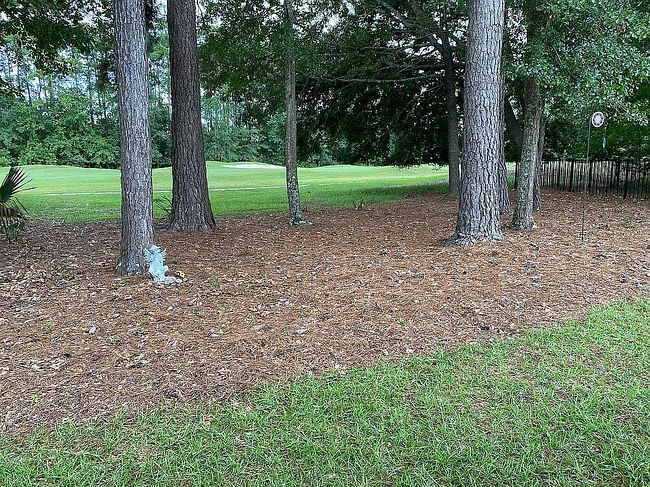 Photo of 31 Yonges Island Dr, Bluffton, SC