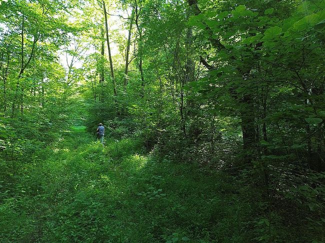 Image of 2117 Mason Hollow Rd