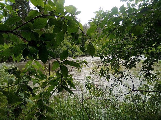Image of 251 E Sanpoil Rd