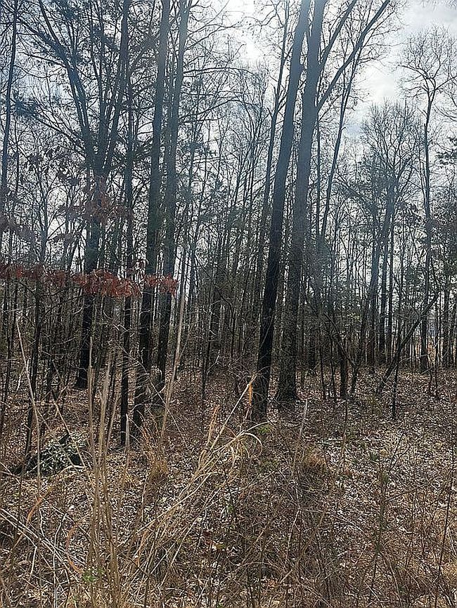Image of 9024 Pinenoll Ln