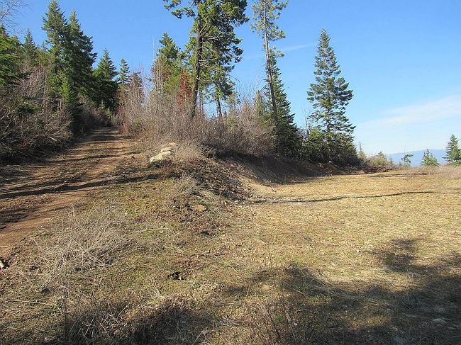 Additional photo 2 of property located at 2114 Juniper Ln