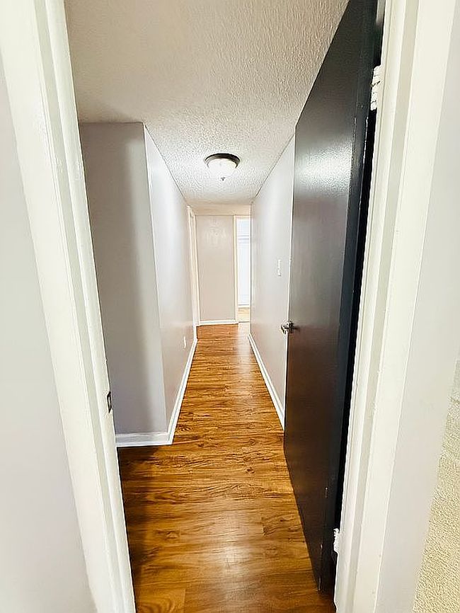 Photo of 7639 Dolonita Dr, Tampa, FL