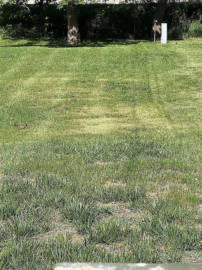 Photo of 0 Oak St, Syracuse, NE
