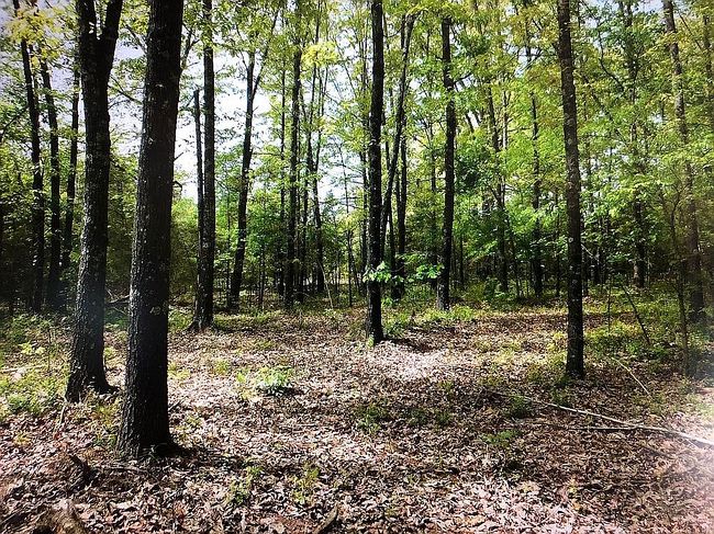 Photo of 473 Highway 63, Ravenden, AR