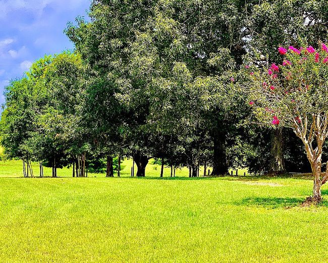 Photo of 2066 Fm 1251, Beckville, TX