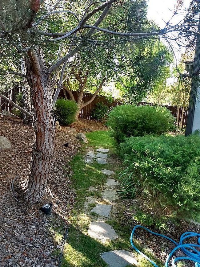 Image of 538 Andromeda Dr