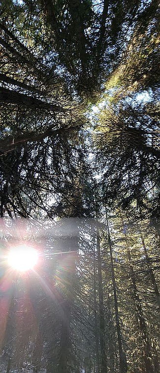 Image of Cedar Creek Rd
