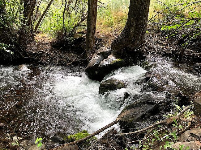 Image of 367 Seven Devils Rd