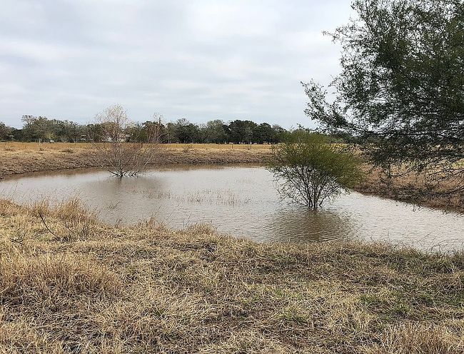 Image of 295 Lassman Rd