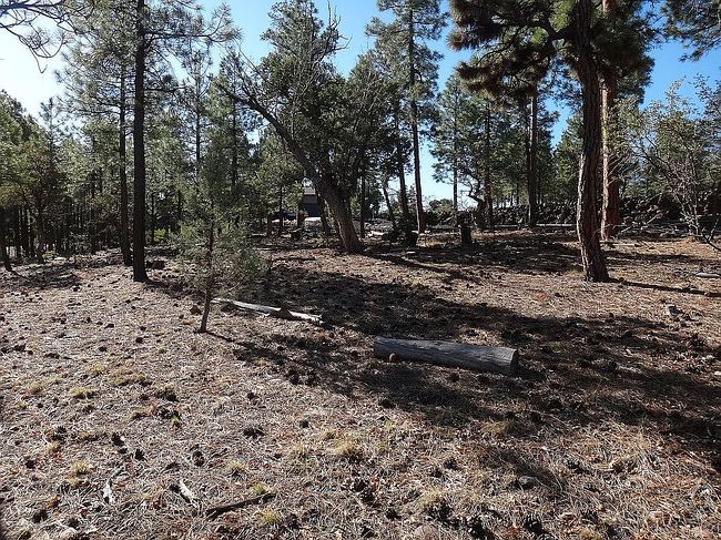 Image of 2200 S Columbine Ct