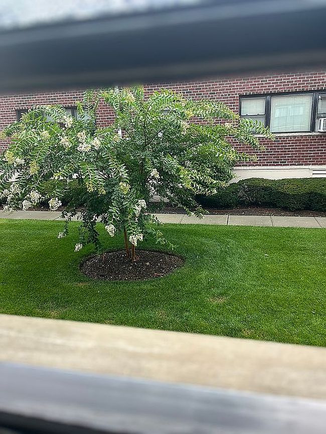 Photo of 55 Tulip Ave Apt 51, Floral Park, NY