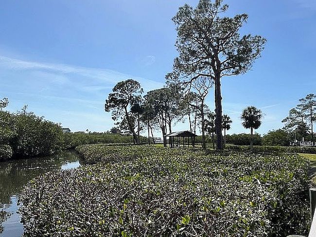 Photo of 1555 Ember Ln, Tarpon Springs, FL