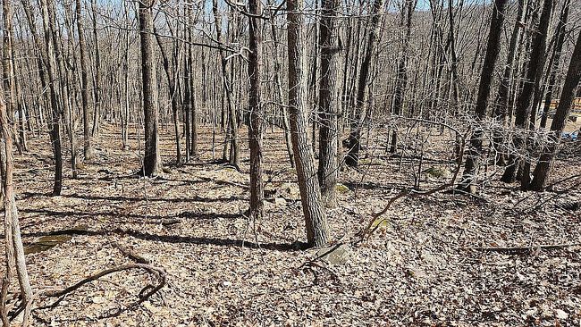 Photo of Eagle Pass Lot 711, Cresco, PA