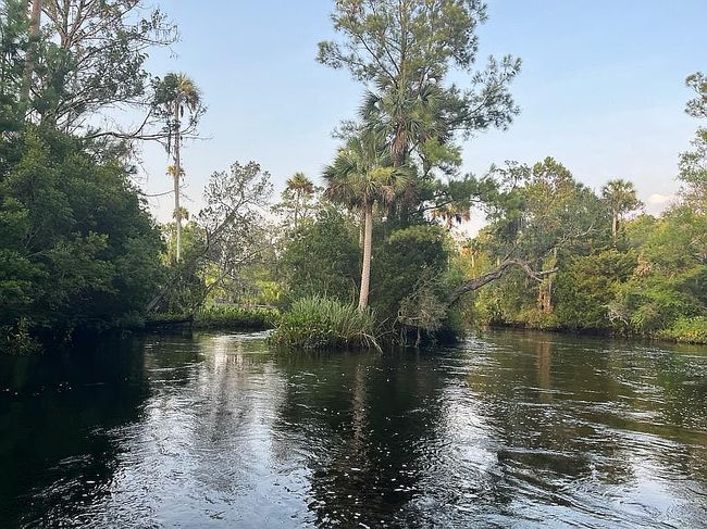 Photo of 4340 River St, Lamont, FL